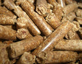 Pellet di legno – immagine provvisoria per Bancale Pellet Squirrel Gold – 70 sacchi da 15 kg